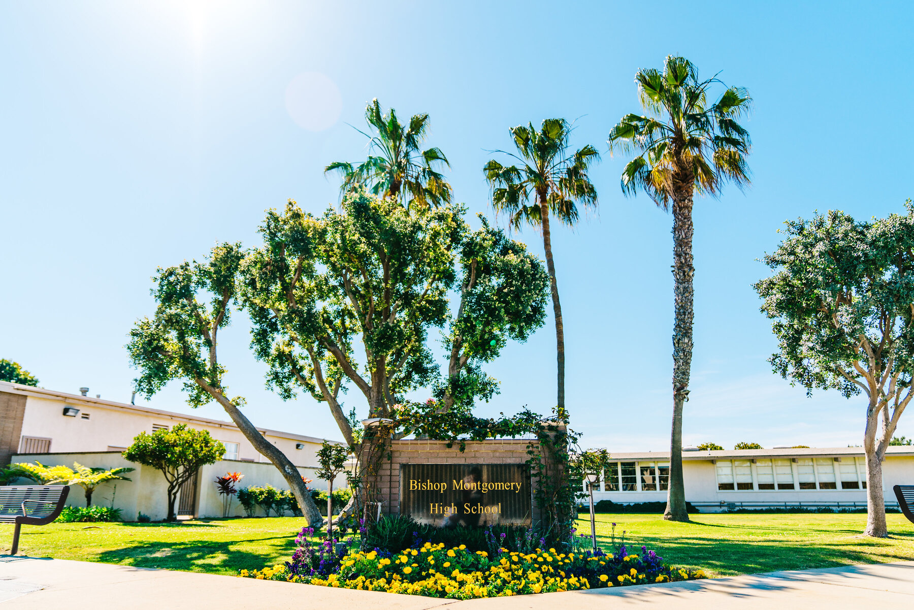 Amerigo_BishopMontgomery_SchoolSign10