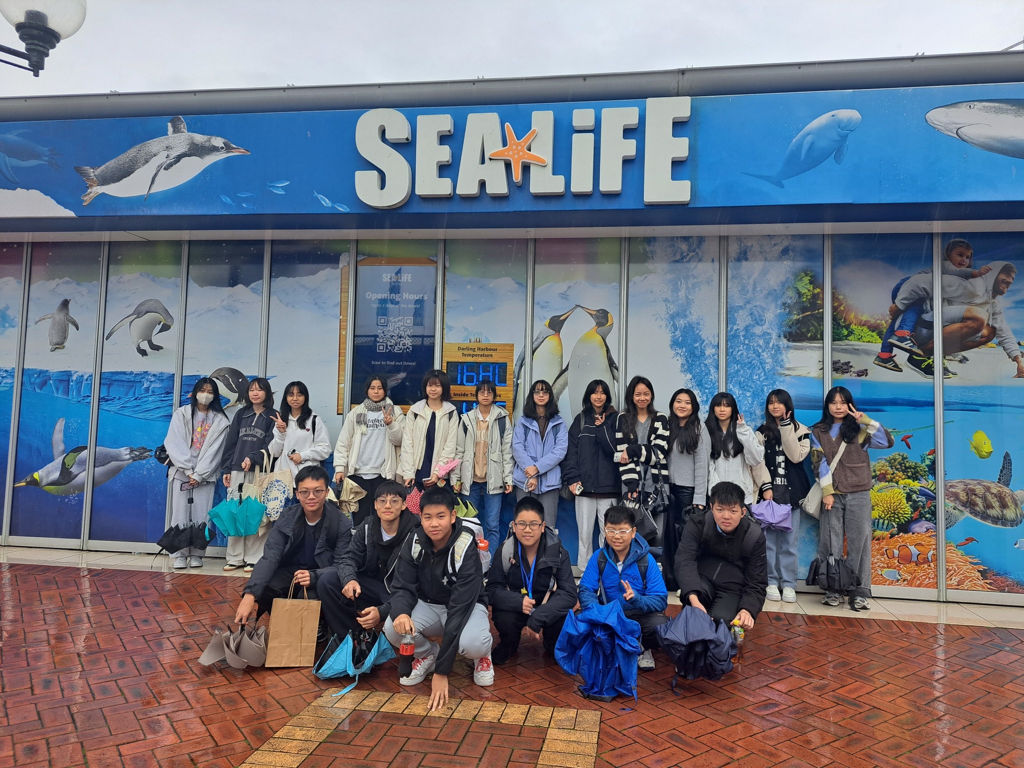 537028930_2514227425600631_4854108742480453981_n