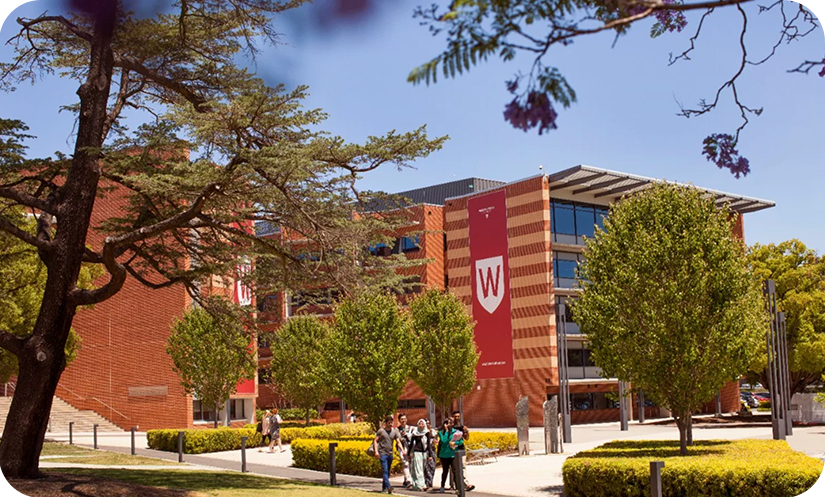 西許梨大學＿01