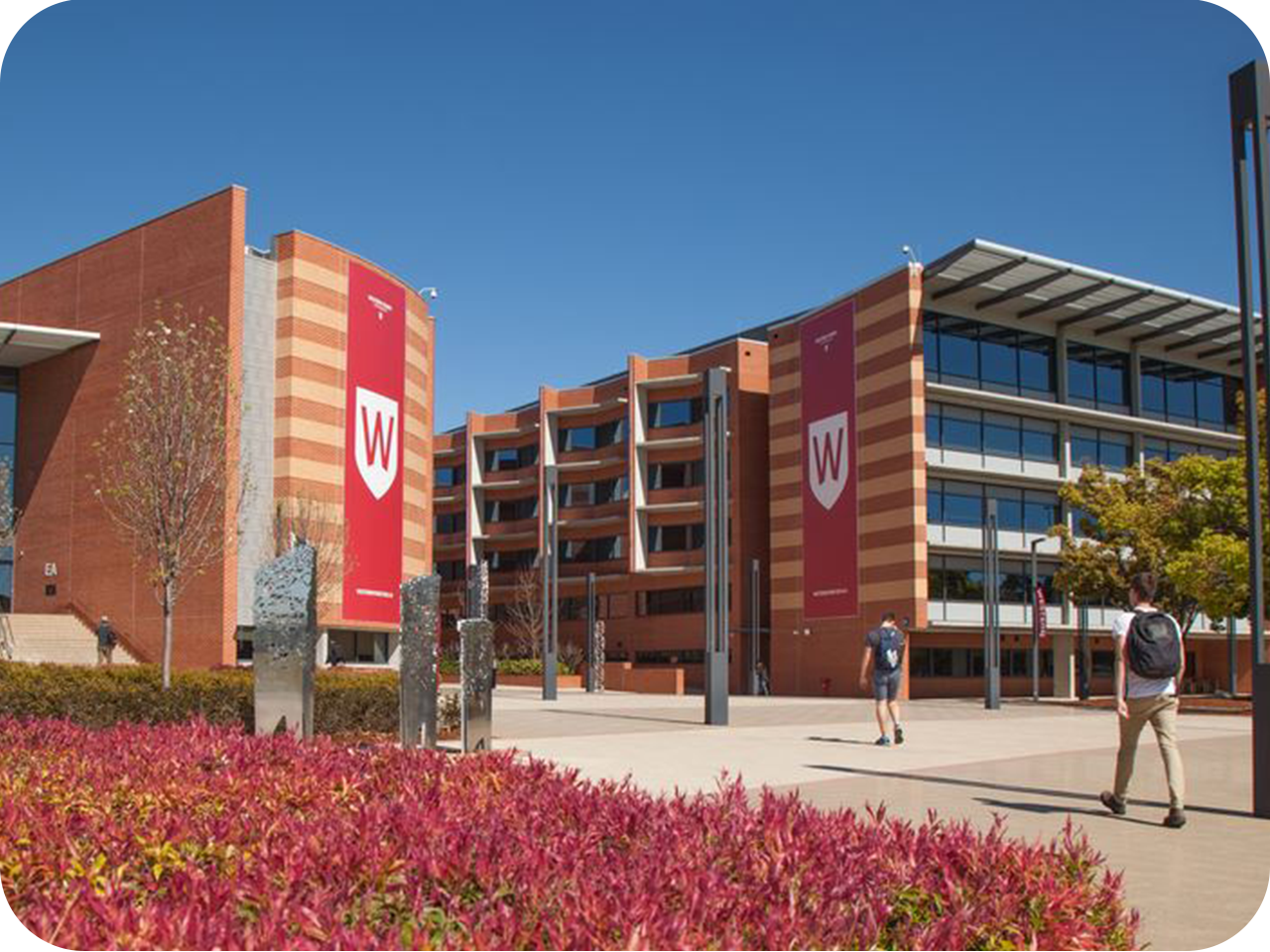 pexels-janssen-panizales-67300-41906944(2)